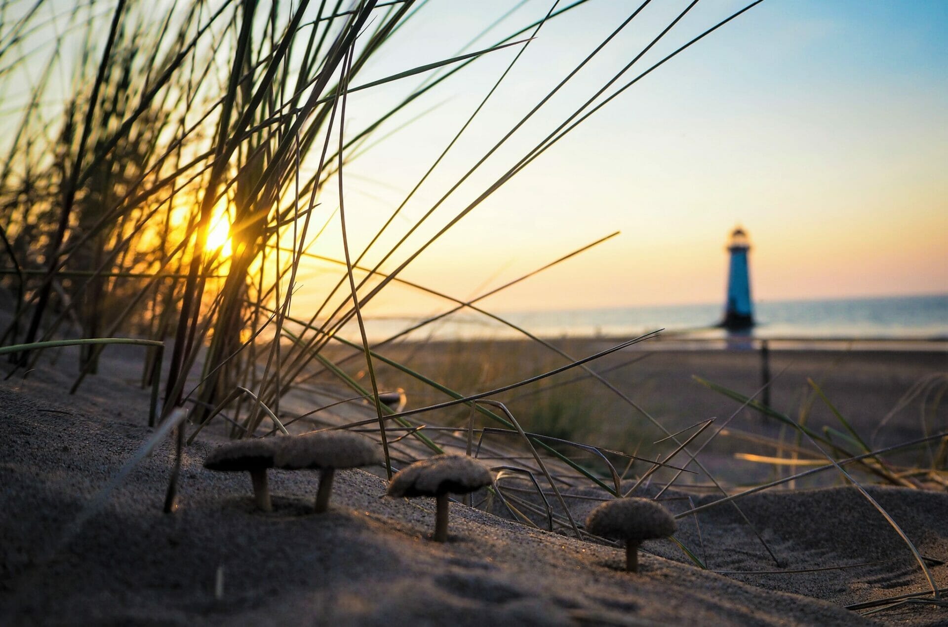 Lighthouse, Seascapes & Sunsets - Talacre Beach - Roving Academy Evening - Photo of the sun going down behind the lighthouse at Talacre Beach North Wales - shot through the sand dunes