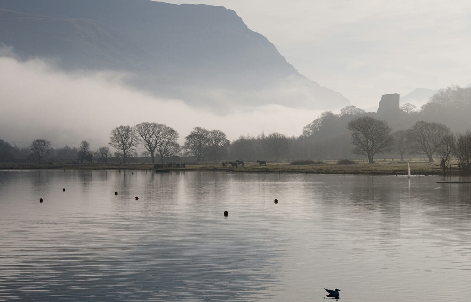 Shortest Night 2023 - A Photographic Adventure in North Wales - Llyn Pardarn in Llanberis, Snowdonia, North Wales with Dolbardarn Castle in distance.