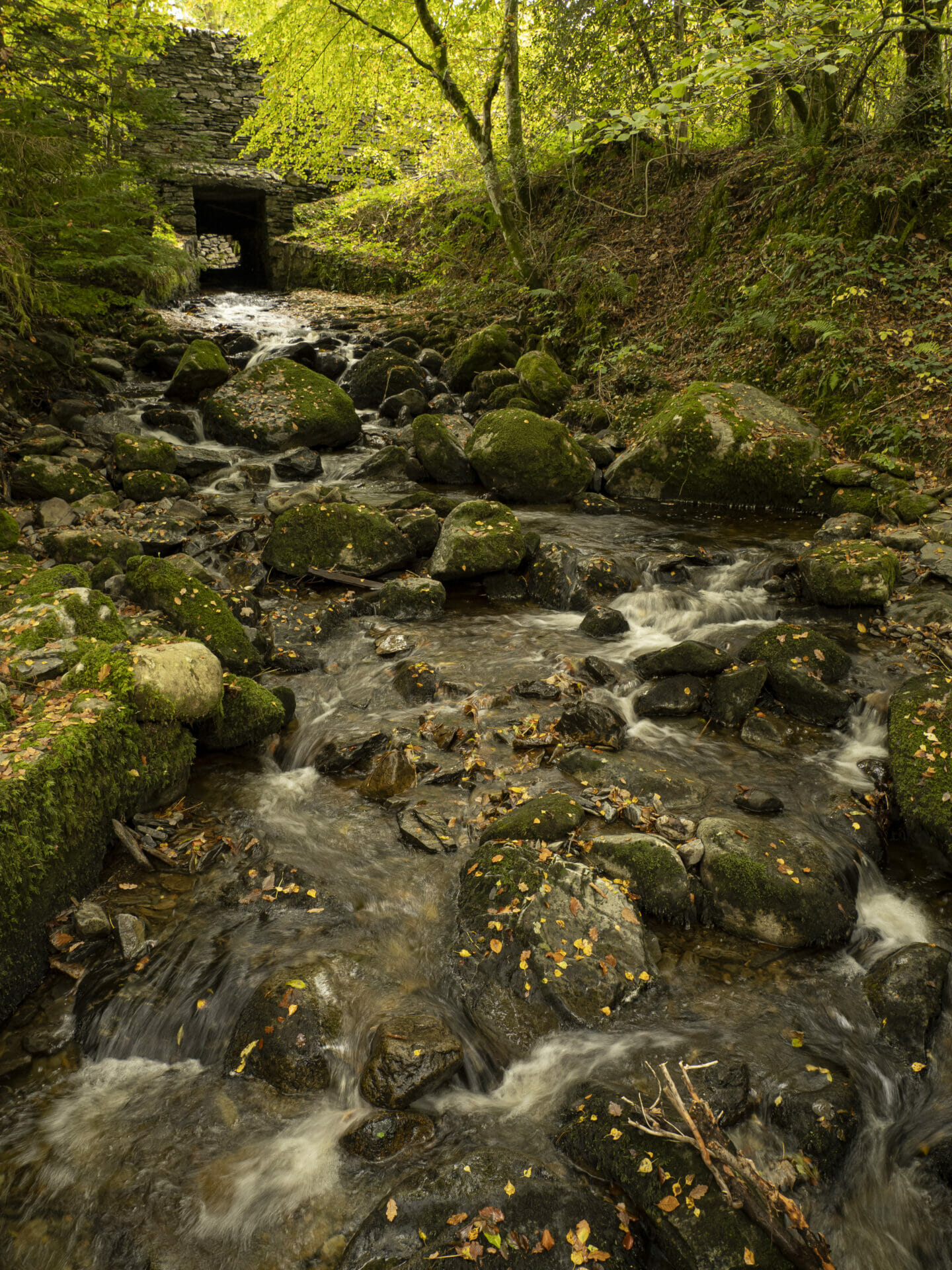 MM 12th NOV 2023 - Rivers & Waterfalls - Capturing Movement in Water - Eifion Williams #2