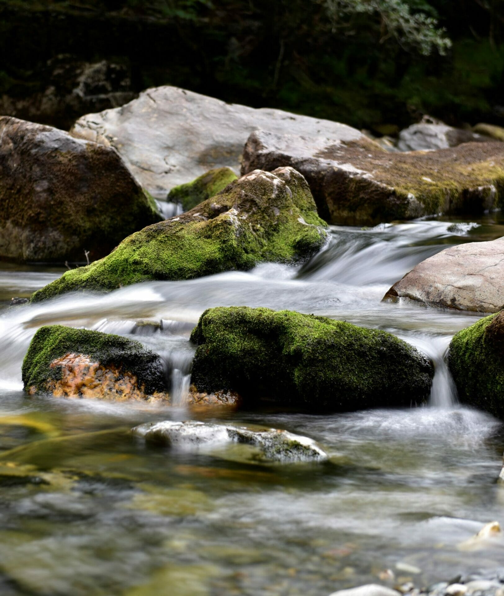 MM 12th NOV 2023 - Rivers & Waterfalls - Capturing Movement in Water - Helen Iles #1