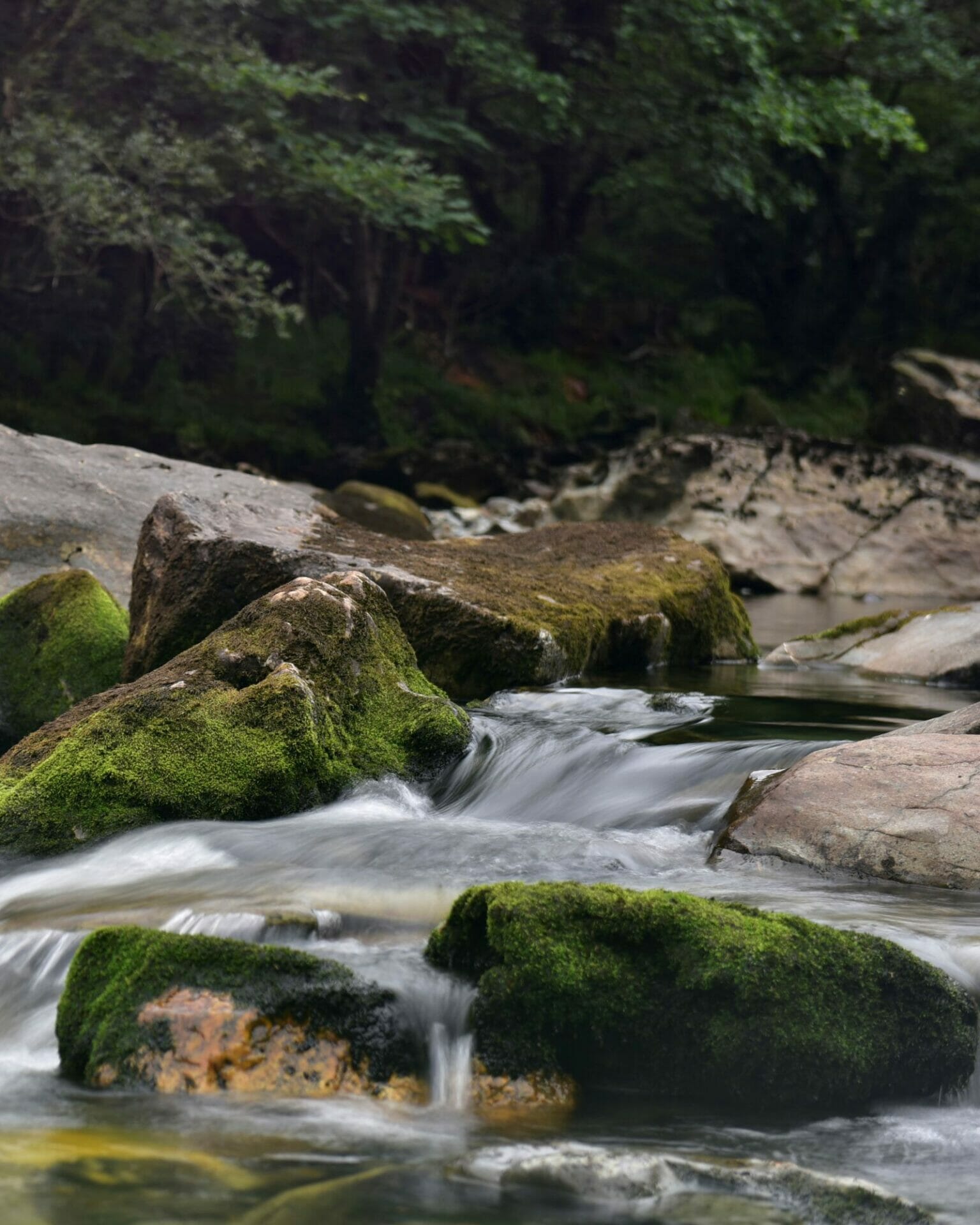 MM 12th NOV 2023 - Rivers & Waterfalls - Capturing Movement in Water - Helen Iles #2