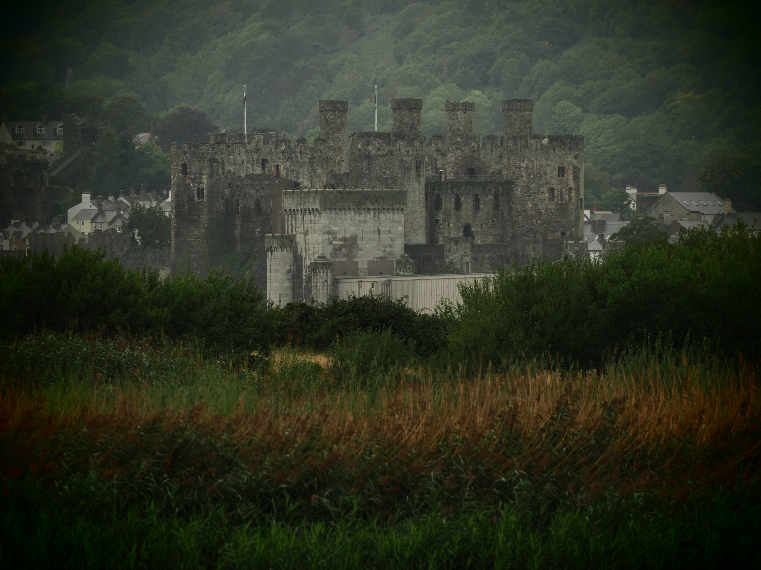 Conwy Castle from RSPB - Conwy - Eifion Williams #2